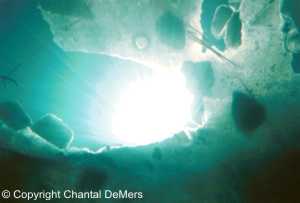 Photo de plongée sous-glace - rayons du soleil sous l'eau