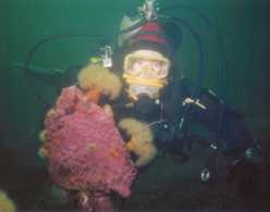Chantal DeMers en plongée sous-marine en Gaspésie