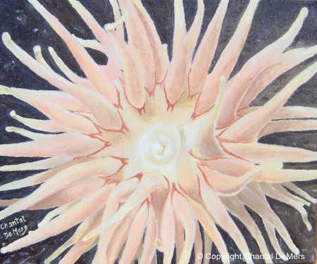 Peinture sous-marine - Fleur des mers